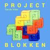 Project blokken - Tim de Vries (ISBN 9789402127768)