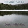 Droomdichtjes - Nesibe Balta (ISBN 9789464186536)