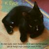 Ik ben Leo, een hulphond in een kattenjasje en ik help mijn baasje met PTSS (e-Book) - K. Eyck (ISBN 9789403626932)