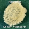 Miskramen (e-Book) - Dr. Wim Vlaanderen (ISBN 9789464431414)