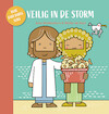 Veilig in de storm - Irma Moekestorm (ISBN 9789087820893)
