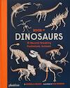 Book of Dinosaurs - Gabrielle Balkan, Sam Brewster (ISBN 9781838664251)