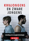 Kwajongens en zware jongens - Ido Weijers (ISBN 9789085601265)