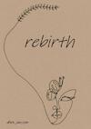 rebirth - Diniz Janssen (ISBN 9789464481754)