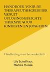 Handboek voor de therapeut/begeleider vanuit oplosingsgerichte therapie voor kinderen en jongeren - Lily Schelfhaut (ISBN 9789464805000)