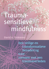 Traumasensitieve mindfulness - David A. Treleaven (ISBN 9789463160544)