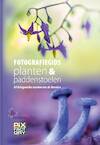 Fotografiegids planten en paddenstoelen - Ron Poot, Chris Ruijter, Jolanda Vlastuin (ISBN 9789079588404)