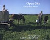 Open Sky - Lambert van der Aalsvoort (ISBN 9789491835230)
