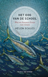 Het oog van de school (e-Book)