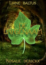 De erfgenaam (e-Book)