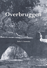 Overbruggen (e-Book)