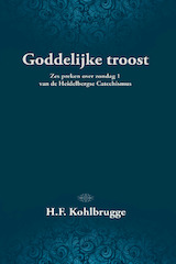 Goddelijke troost (e-Book)