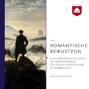 Het romantische bewustzijn - Maarten Doorman (ISBN 9789085309192)