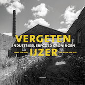 Vergeten ijzer - Frank von Hebel, Jan Willem van Vliet (ISBN 9789464710700)