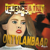 Ontvlambaar - Silvia van Gimst (ISBN 9788728304563)