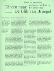 Kijken naar de Blik van Bruegel - Stefan Devoldere, Kris Pint (ISBN 9789491789212)