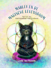 Het Full Joy meditatieboek voor kinderen - Linda van Rossum (ISBN 9789493288416)