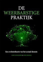 De weerbarstige praktijk - Harry Woldendorp, Joost Hoekman (ISBN 9789088508929)