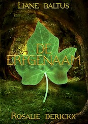 De erfgenaam - Liane Baltus, Rosalie Derrickx (ISBN 9789463083720)