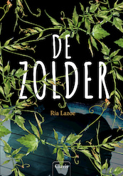 De zolder - Ria Lazoe (ISBN 9789044846690)