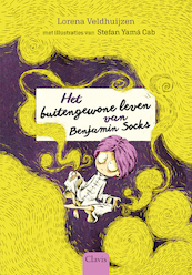 Het buitengewone leven van Benjamin Socks - Lorena Veldhuijzen (ISBN 9789044844801)