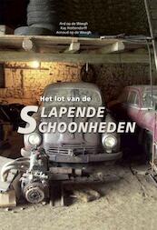 Het lot van de slapende schoonheden - Ard op de Weegh, Kay Hottendorff, Arnoud op de Weegh (ISBN 9789060133026)