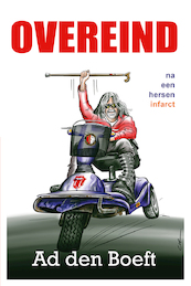 Overeind na een herseninfarct - Ad den Boeft (ISBN 9789079875955)