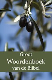 Groot Woordenboek van de Bijbel A-H - W. Moll, P.J. Veth, F.J. Domela Nieuwenhuis (ISBN 9789057195563)