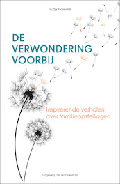 De verwondering voorbij - Trudy Hommel (ISBN 9789083344775)