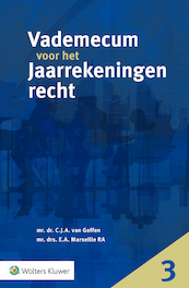 Vademecum voor het jaarrekeningenrecht - C.J.A. van Geffen, E.A. Marseille (ISBN 9789013172157)