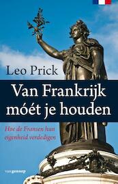 Het schot in de kathedraal - Leo Prick (ISBN 9789461644039)