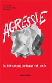 Agressie in het sociaal pedagogisch werk - Fee van Delft, Lambert Rooijendijk, Nico Sjerps (ISBN 9789059317666)
