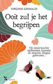 Ooit zal je het begrijpen - Virginie Grimaldi (ISBN 9789401610803)