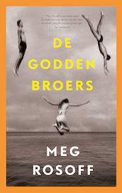 De Godden broers - Meg Rosoff (ISBN 9789024592364)