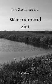 Wat niemand ziet - Jan Zwaaneveld (ISBN 9789464353617)