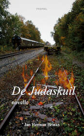 De Judaskuil - Jan Herman Brinks (ISBN 9789052946139)