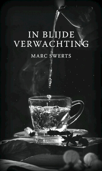 In blijde verwachting - Marc Swerts (ISBN 9789493293281)