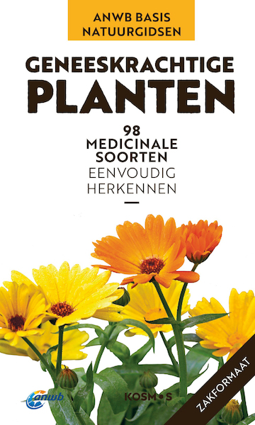 ANWB Basis natuurgids - Geneeskrachtige planten - Eva-Maria Dreyer (ISBN 9789043928939)