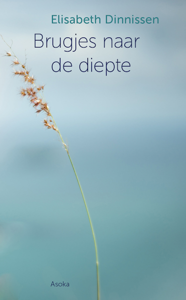 Brugjes naar de diepte - Elisabeth Dinnissen (ISBN 9789056704100)