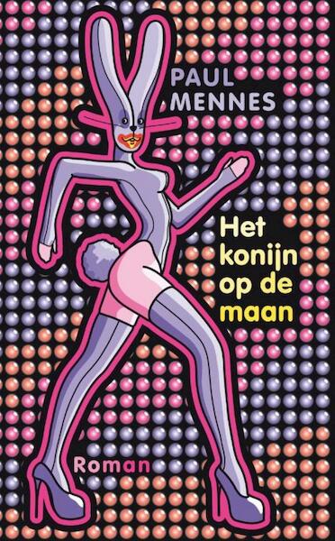 Het konijn op de maan - Paul Mennes (ISBN 9789038893525)