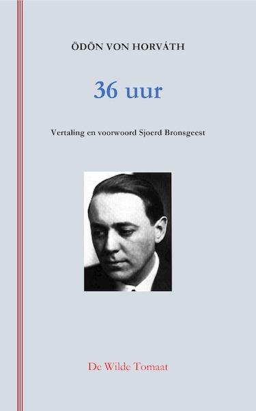 36 uur - Odön von Horváth (ISBN 9789083091112)