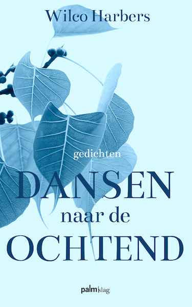 Dansen naar de ochtend - Wilco Harbers (ISBN 9789493245952)