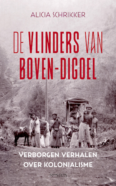 De vlinders van Boven-Digoel - Alicia Schrikker (ISBN 9789044638394)