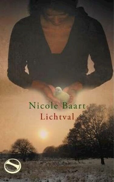 Lichtval - N. Baart (ISBN 9789043514842)