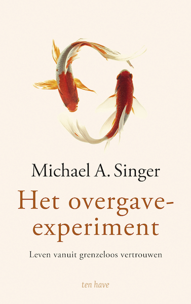 Het overgave-experiment - Michael Singer (ISBN 9789025908515)