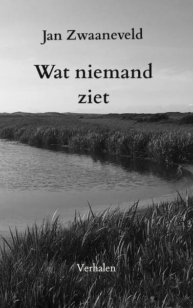 Wat niemand ziet - Jan Zwaaneveld (ISBN 9789464353617)