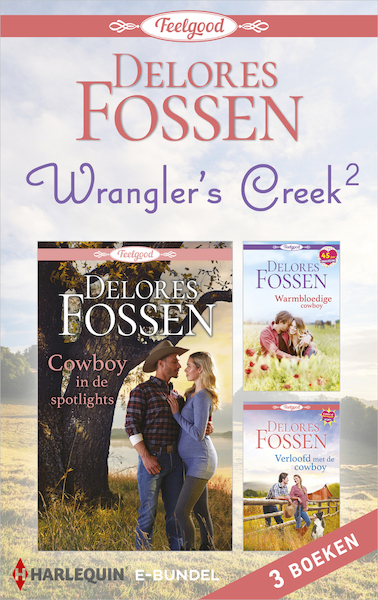 Wrangler's Creek 2 - Delores Fossen (ISBN 9789402547115)