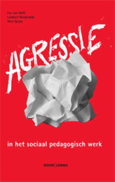 Agressie in het sociaal pedagogisch werk - Fee van Delft, Lambert Rooijendijk, Nico Sjerps (ISBN 9789059317666)