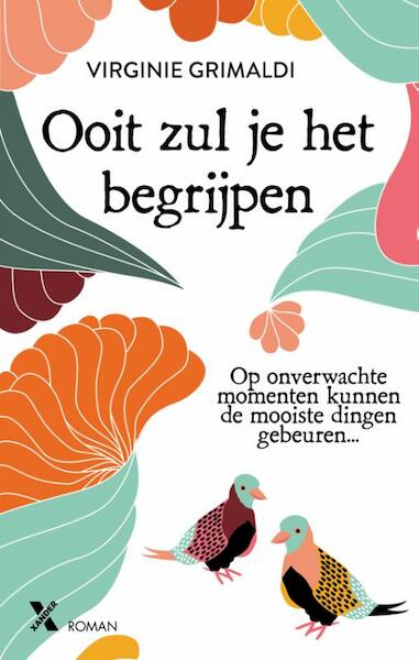 Ooit zal je het begrijpen - Virginie Grimaldi (ISBN 9789401610803)