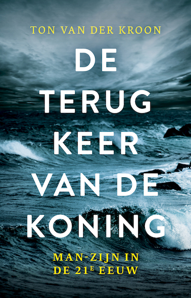 De terugkeer van de koning - Ton van der Kroon (ISBN 9789020217919)